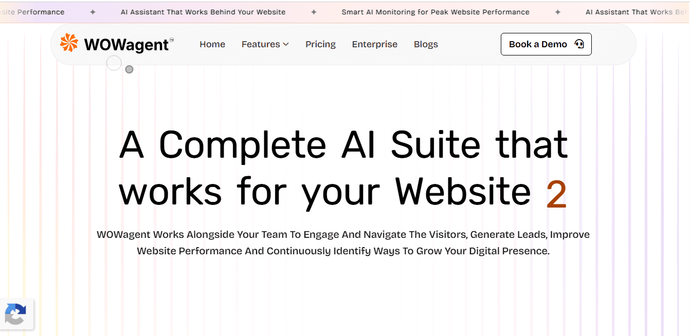 seo audit tool