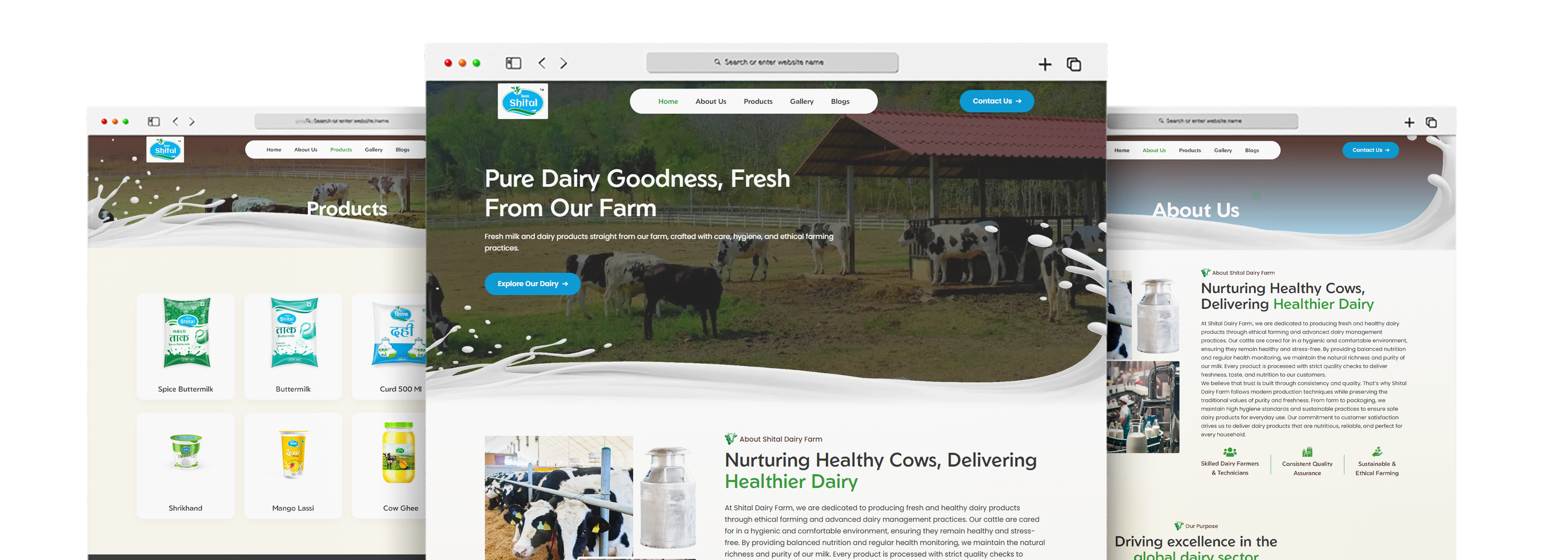 SHITAL DAIRY – Portfolio