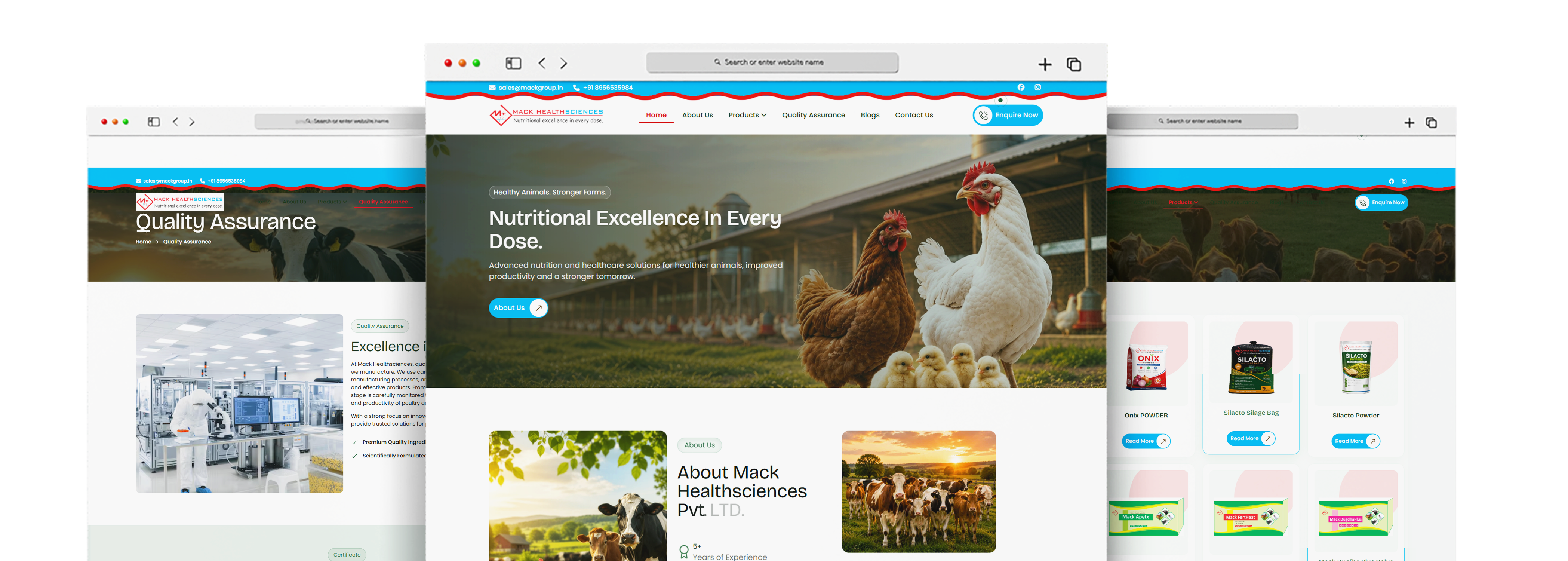 Mack Health Sciences - Portfolio