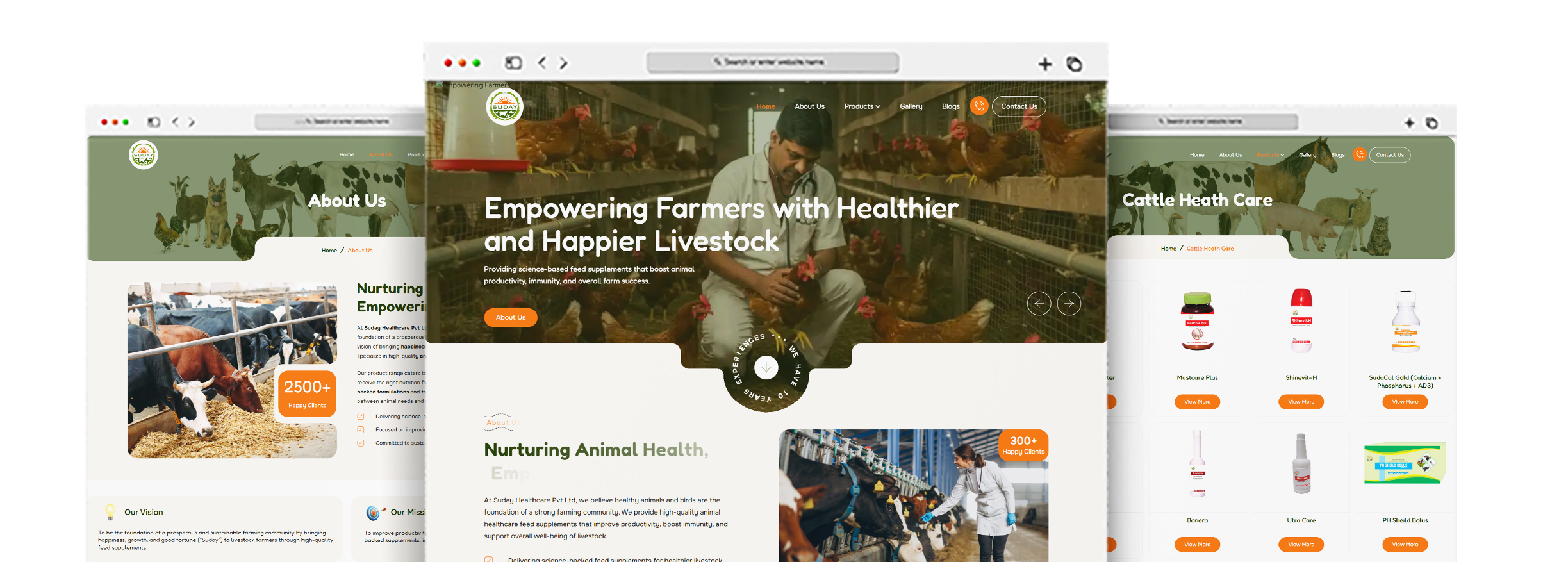 Suday Healthcare- Portfolio