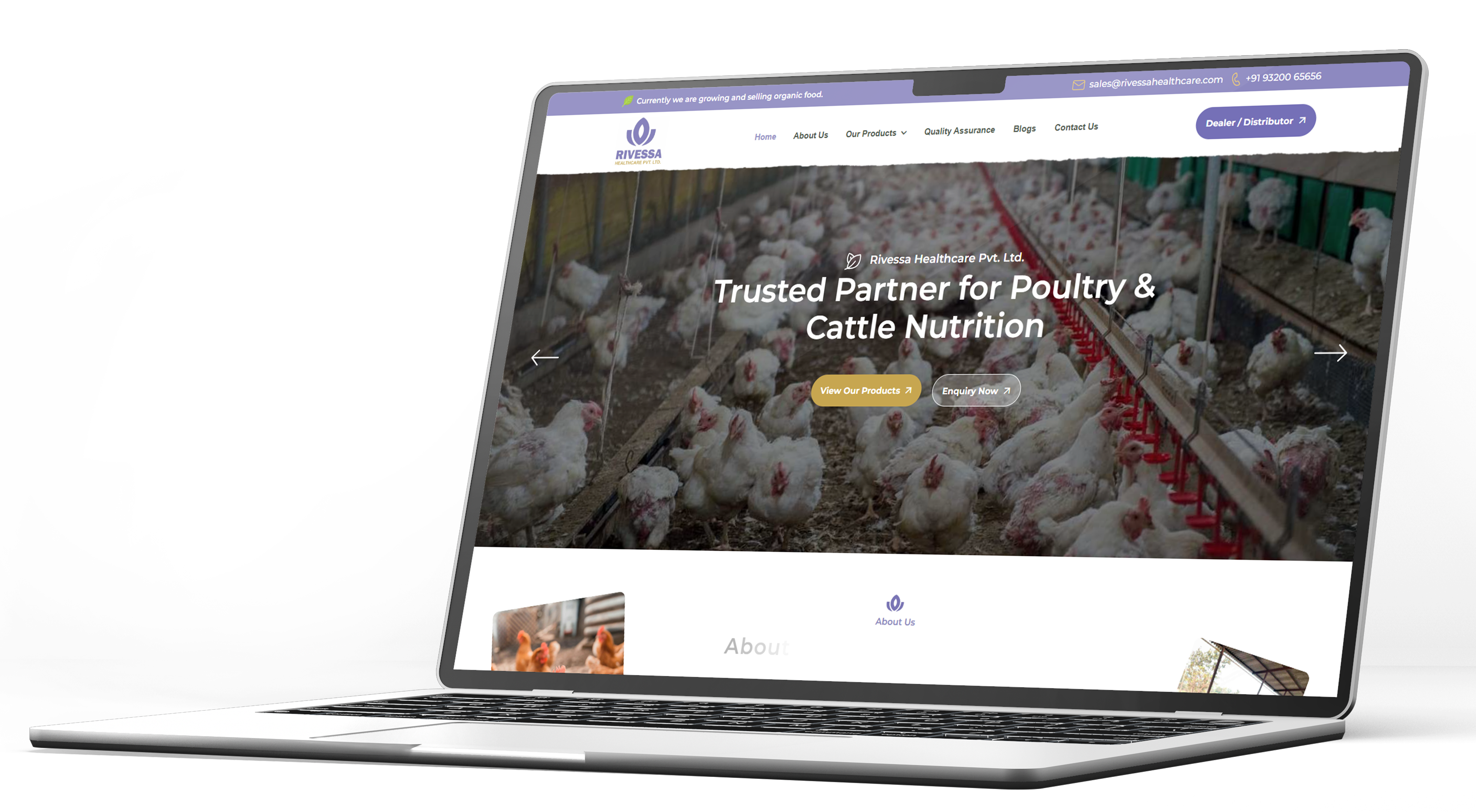 Rivessa Healthcare - Portfolio
