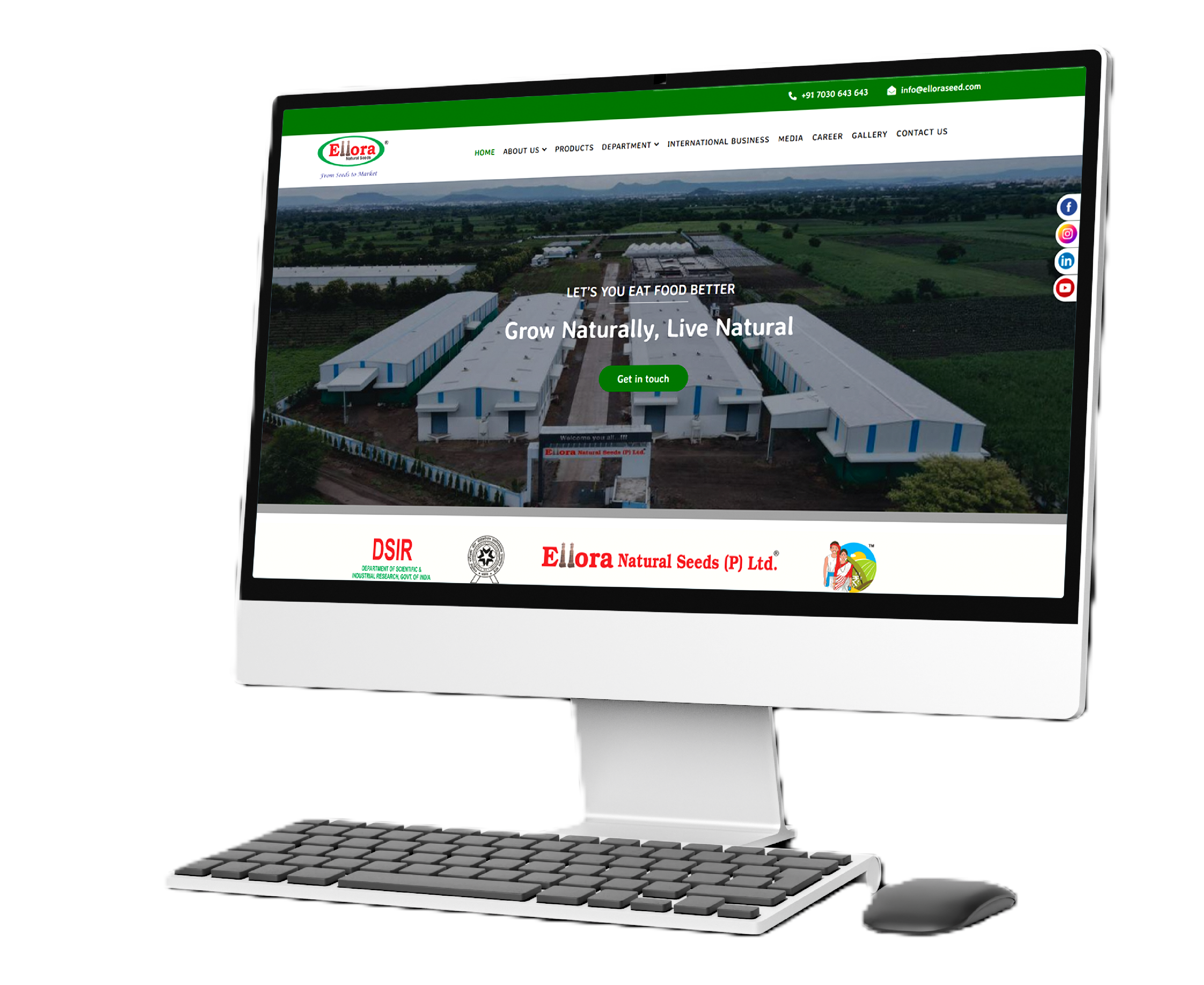 Ellora Seed - Portfolio
