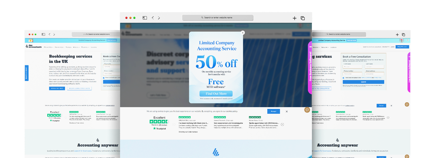 DNS Accountants – Portfolio