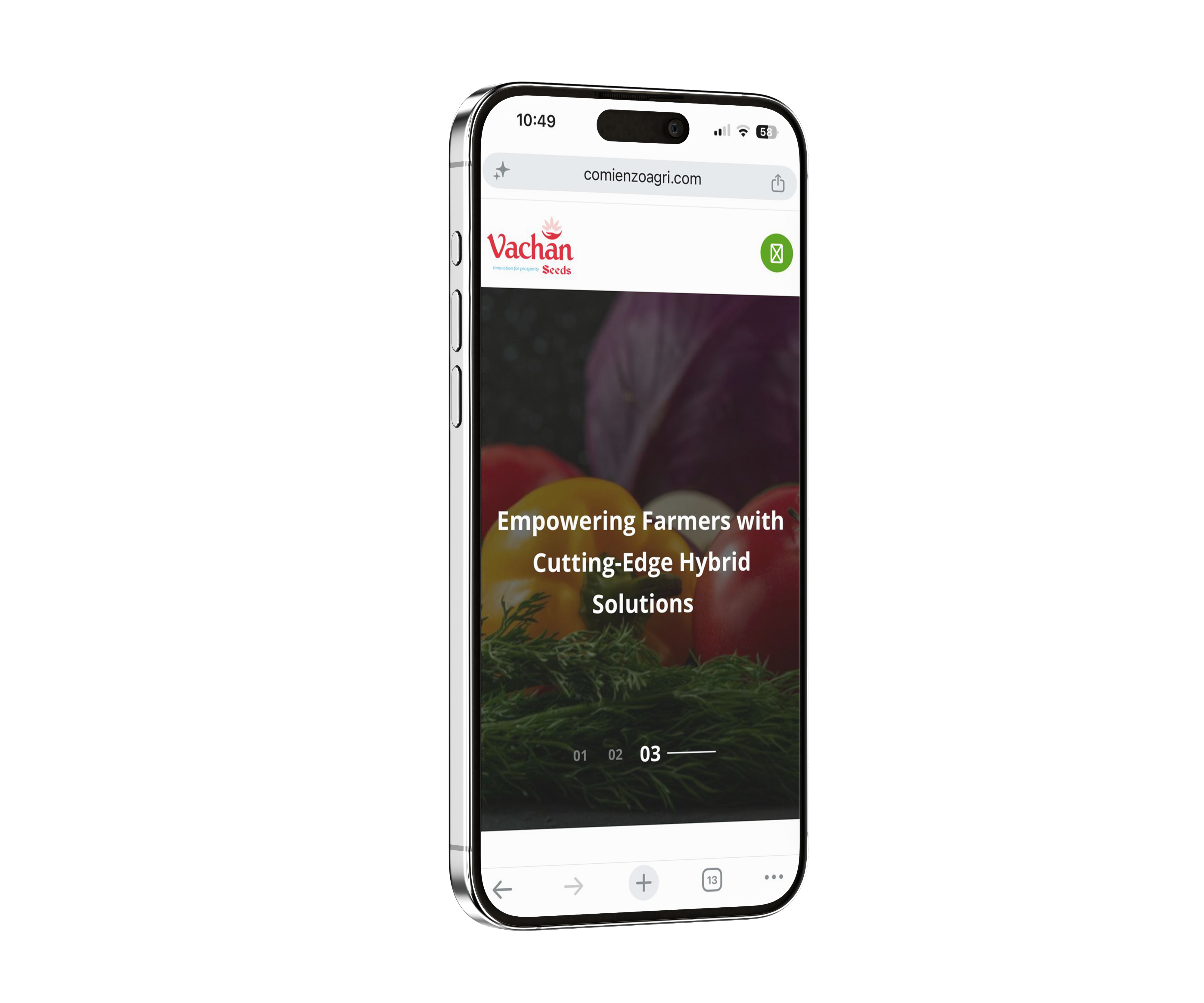 Vachan Seeds - Portfolio